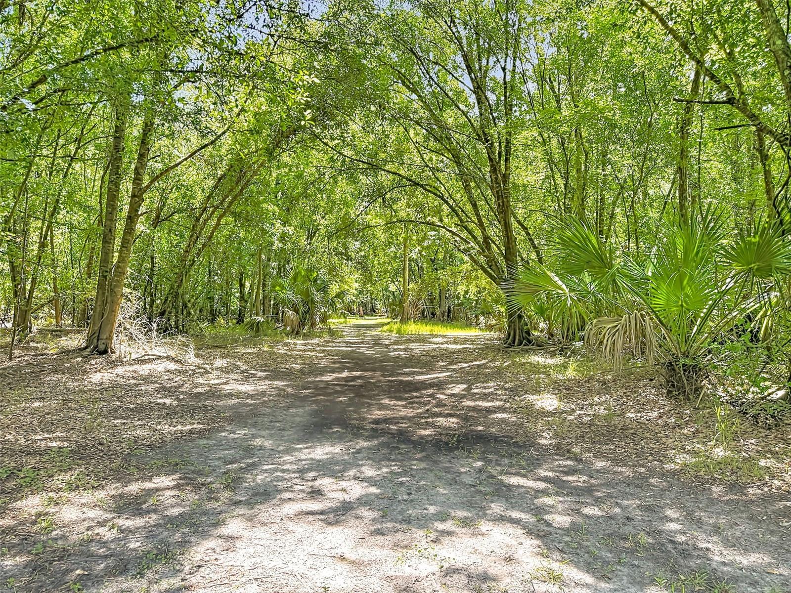 NOT IN SUBDIVISION - Residential