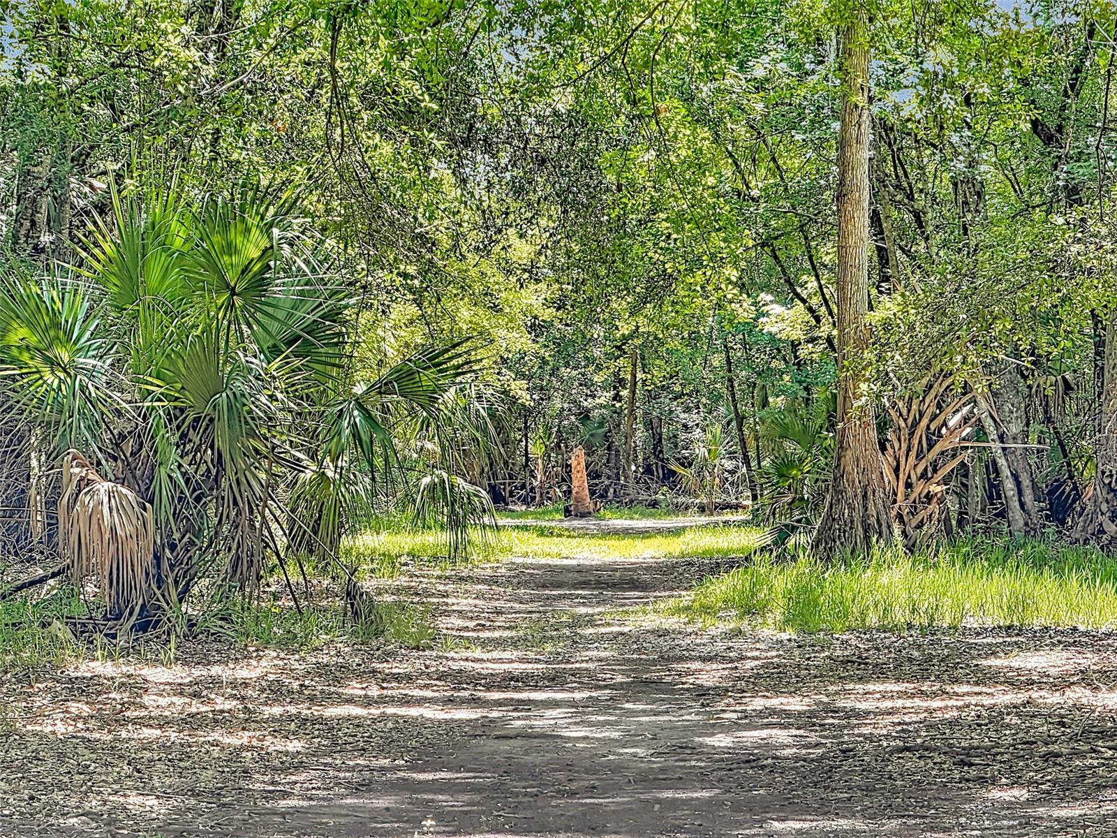 NOT IN SUBDIVISION - Residential