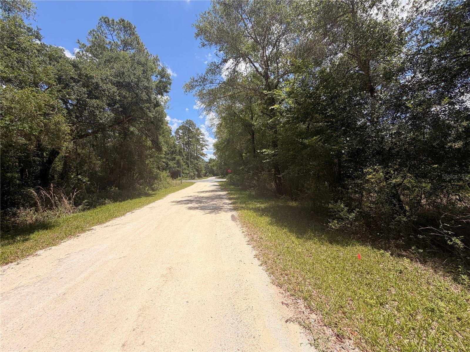 Discover the freedom to build your dream home on this spacious 1.16-acre lot in the peaceful Ridge Manor Estates community of Webster, Florida. With level terrain and plenty of room to design your ideal layout, this property is perfectly suited for a site-built or manufactured home with a minimum build size of just 900 square feet.

Power is conveniently located nearby along Wheystone Road, approximately 144 feet east of the property, helping simplify your future build plans. Measuring roughly 164’ x 304’, the lot offers ample space for a home, workshop, garage, RV parking, gardens, or outdoor living areas — all without the restrictions of an HOA.


The property will require well and septic installation and is located in flood zone AE, allowing buyers the opportunity to plan accordingly while still enjoying the value and flexibility this oversized homesite provides.

Whether you’re looking to build now or invest for the future, this beautiful Webster lot offers space, freedom, and potential at an affordable price.