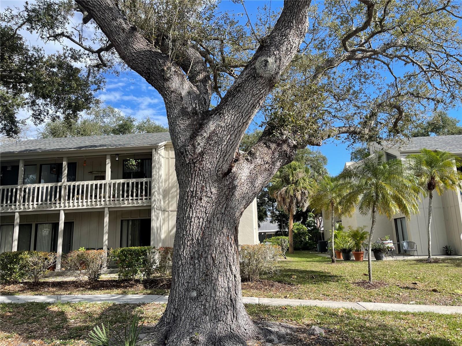 CORDOVA GARDENS II - Residential