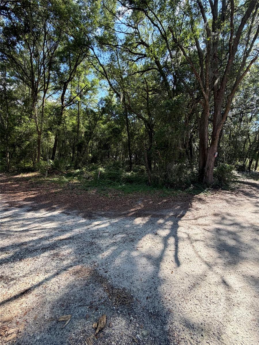 FLORIDA HLNDS #328 - Land