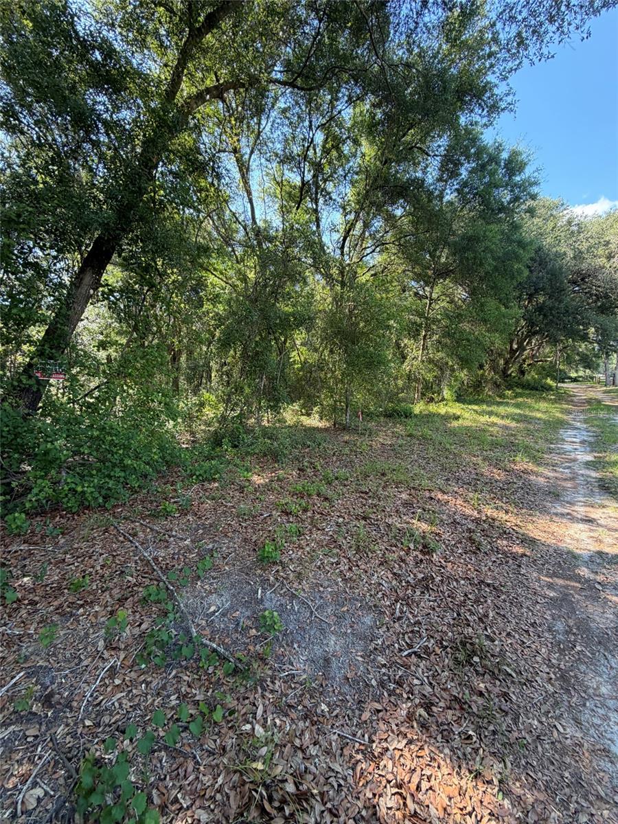 FLORIDA HLNDS #328 - Land