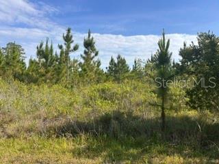 INDIAN LAKE ESTATES - Land