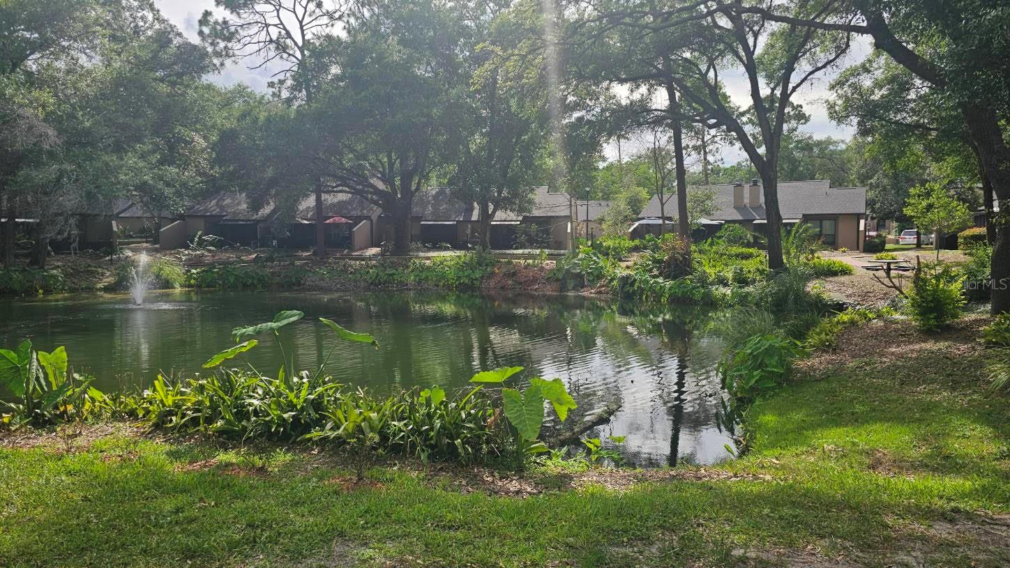 VILLAGE TWNHMS A CONDO - Residential