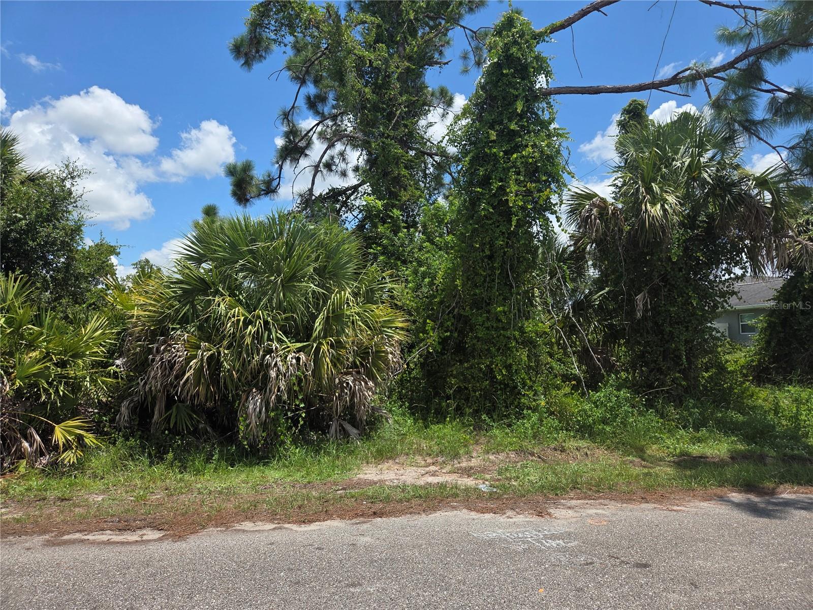 PORT CHARLOTTE SUB 37 - Land