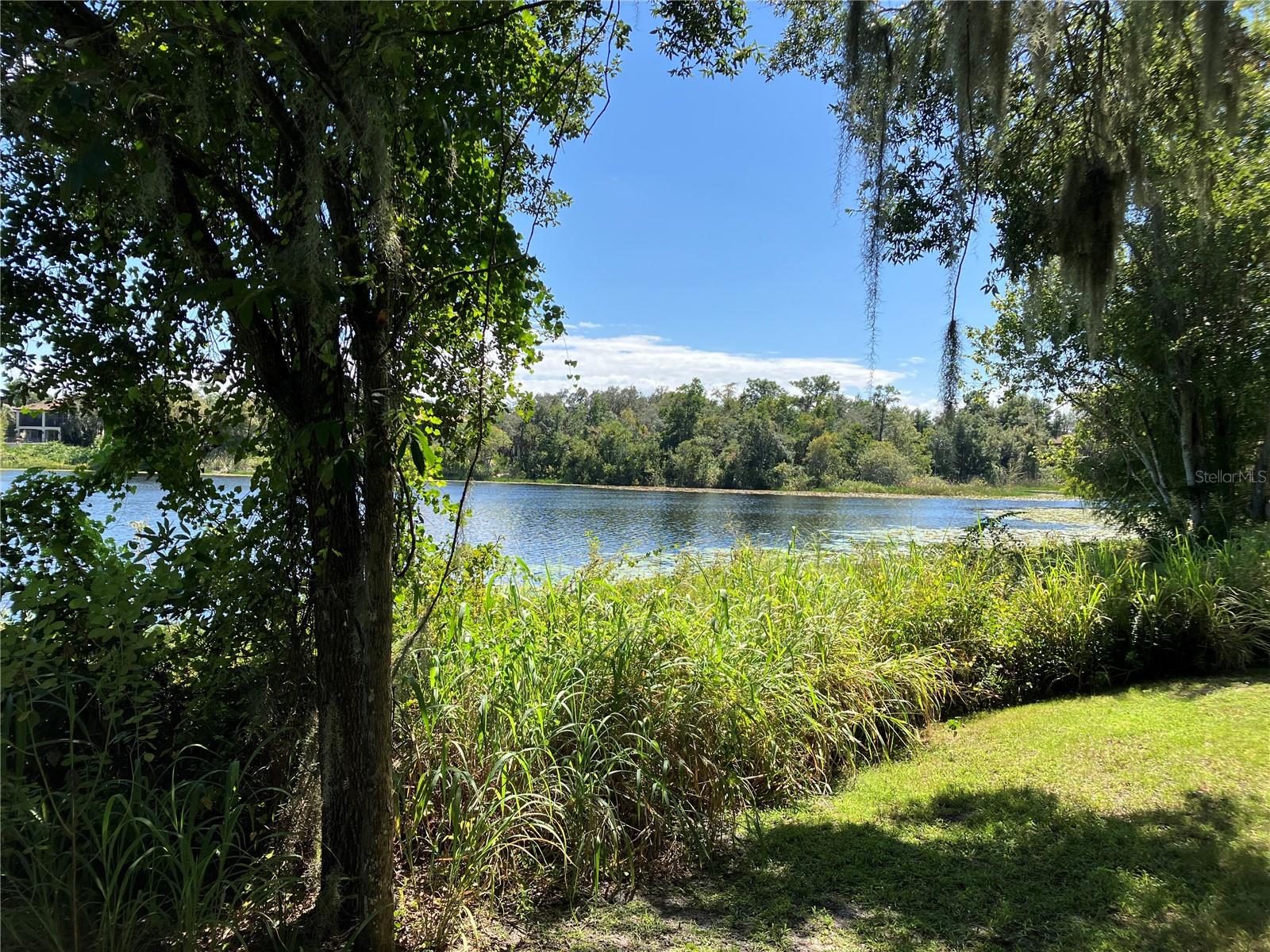 LAKES OF DELAND - Land