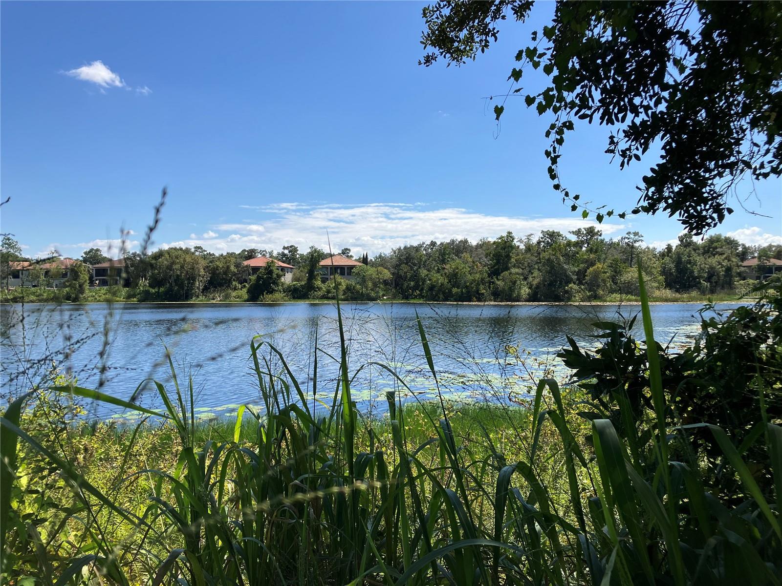 LAKES OF DELAND - Land