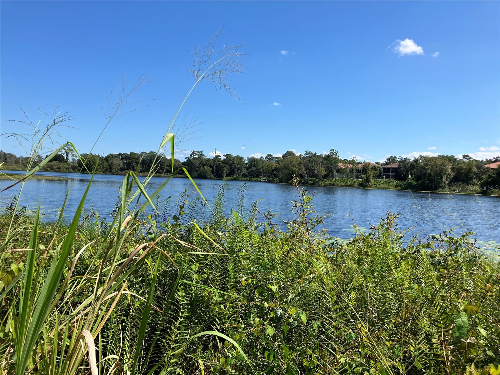 LAKES OF DELAND - Land