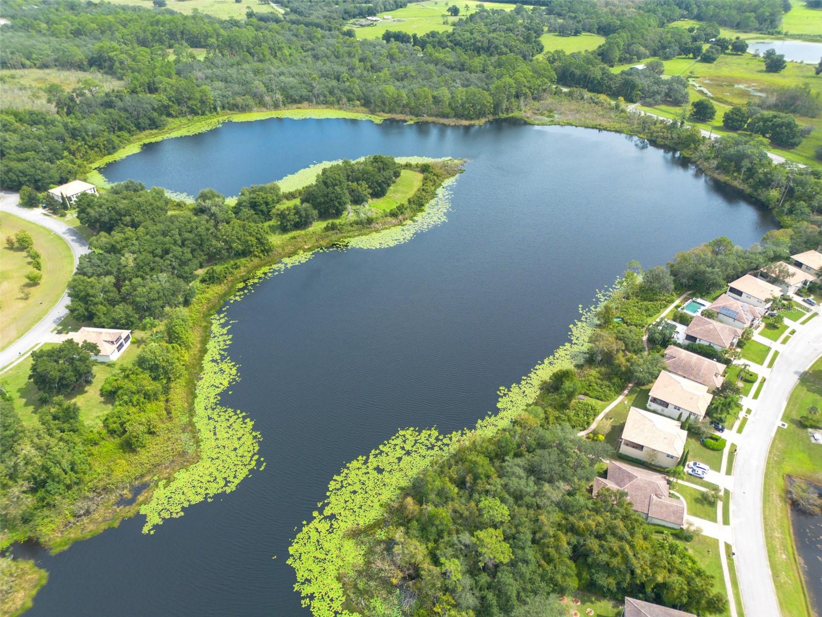 LAKES OF DELAND - Land