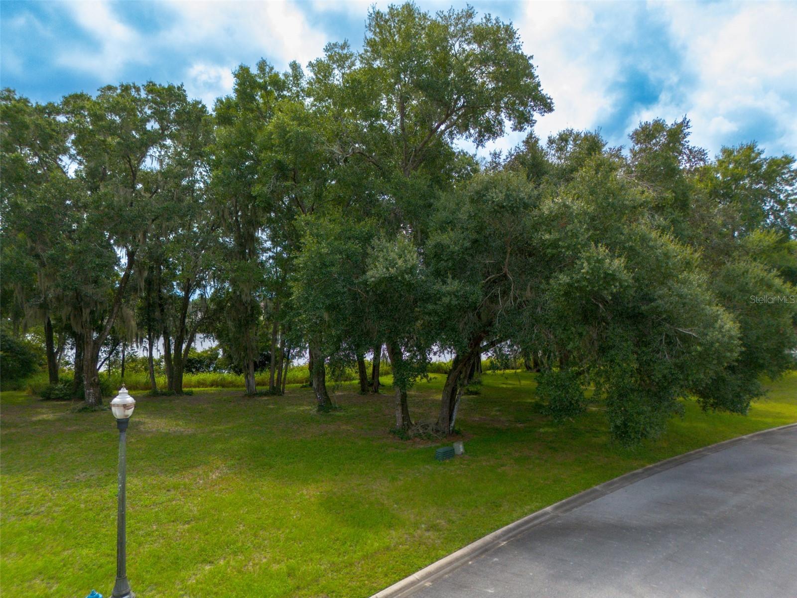 LAKES OF DELAND - Land