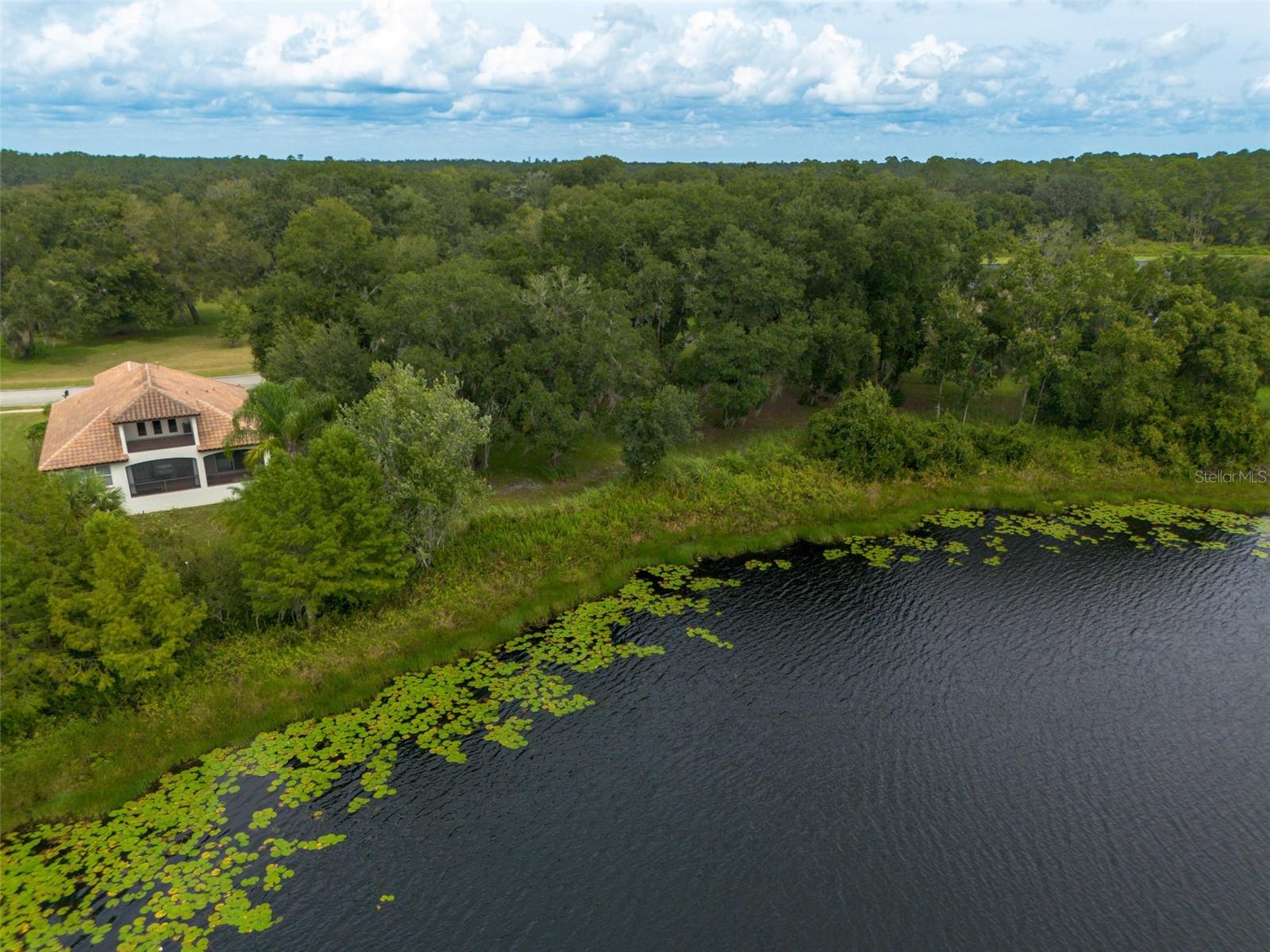 LAKES OF DELAND - Land