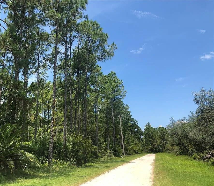 Discover the perfect opportunity to own a spacious piece of land in Kissimmee! This beautiful 6.05-acre vacant parcel located on Thacker Trail offers endless possibilities for those seeking privacy, space, and future potential. Surrounded by the natural beauty of Central Florida, this property provides a rare opportunity to create your dream estate, invest for the future, or explore development possibilities. Enjoy the tranquility of acreage while still being conveniently located near Kissimmee’s amenities, shopping, dining, and major attractions. A unique opportunity for buyers looking for land with room to grow!