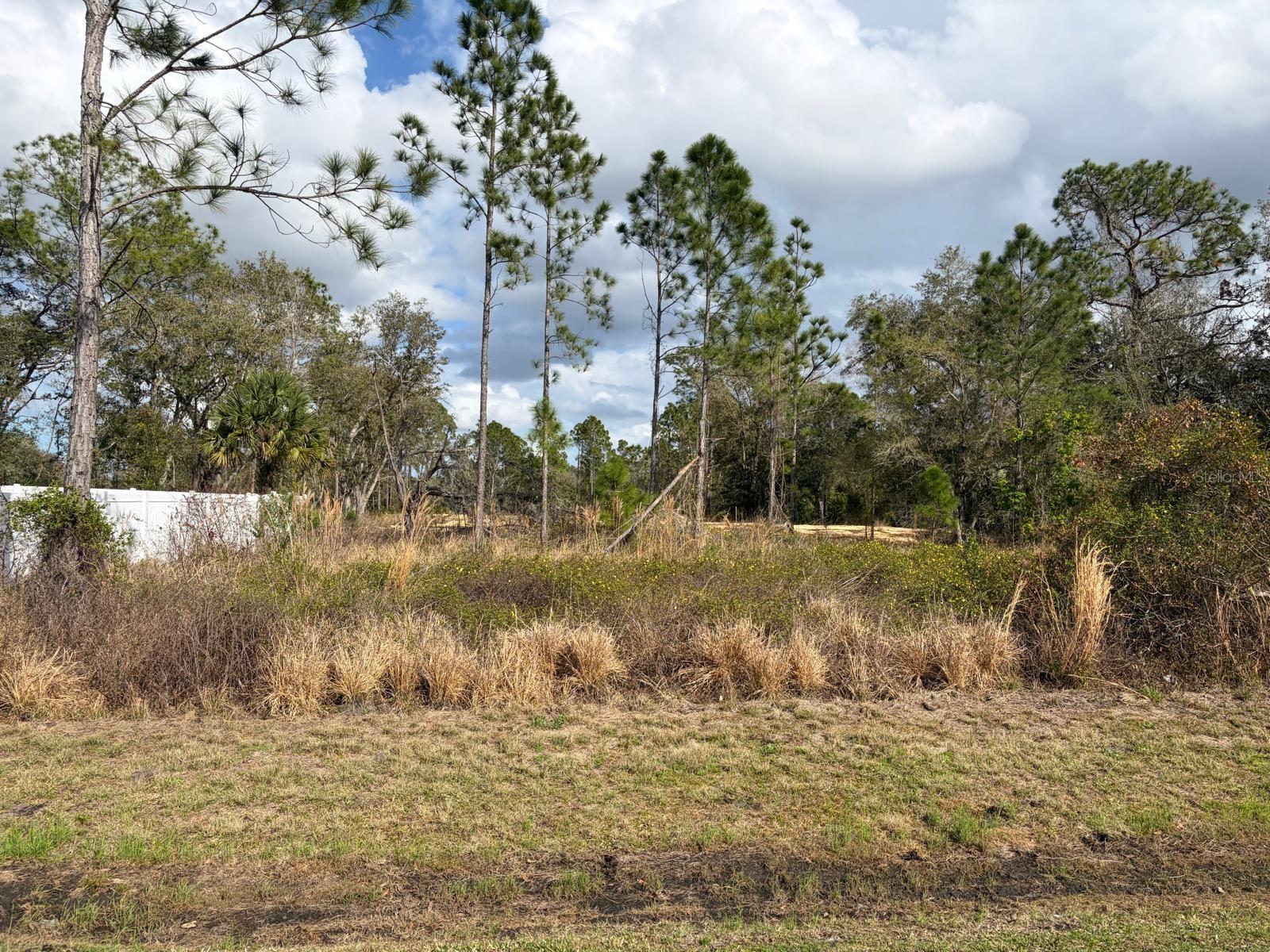 Build your future at 202 Spoonbill Dr! This prime residential lot is located in a well-established, fully developed community with paved roads, neighboring homes, and public utilities available or nearby — making it ready for your vision to come to life.
Positioned in one of the fastest-growing areas of Osceola County within Poinciana, this property offers convenient access to schools, shopping, medical facilities, parks, and major roadways. Whether you’re planning to build your primary residence or secure land in a high-growth area for long-term appreciation, this location checks all the boxes.
Opportunities like this are becoming harder to find — especially in a thriving, high-demand community. Take advantage now and secure your piece of Florida living.
Buyers are encouraged to conduct their own due diligence and verify zoning, building requirements, and utility availability directly with the county.
Map image courtesy of the Polk County Property Appraiser (PCPA) Interactive Map. Boundaries and dimensions are approximate and provided for reference only. Buyers and agents should verify property boundaries, measurements, and zoning with the Polk County Property Appraiser and/or a licensed surveyor.