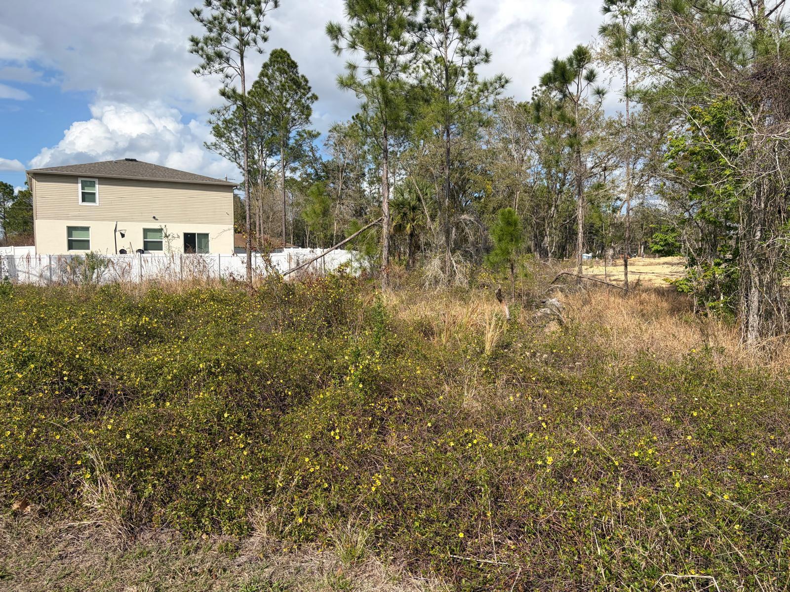 POINCIANA NBRHD 06 SOUTH VILLAGE 03 - Land