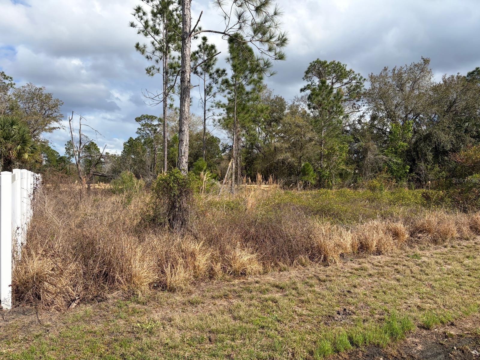 POINCIANA NBRHD 06 SOUTH VILLAGE 03 - Land