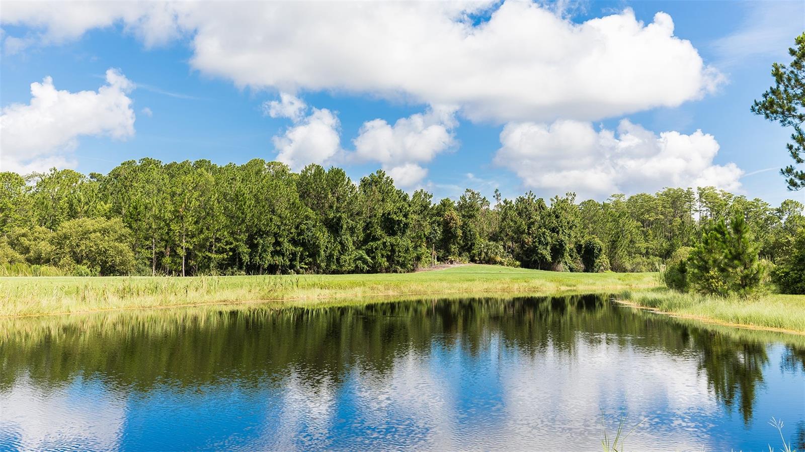 GRAND RESERVE AND GOLF CLUB - Residential