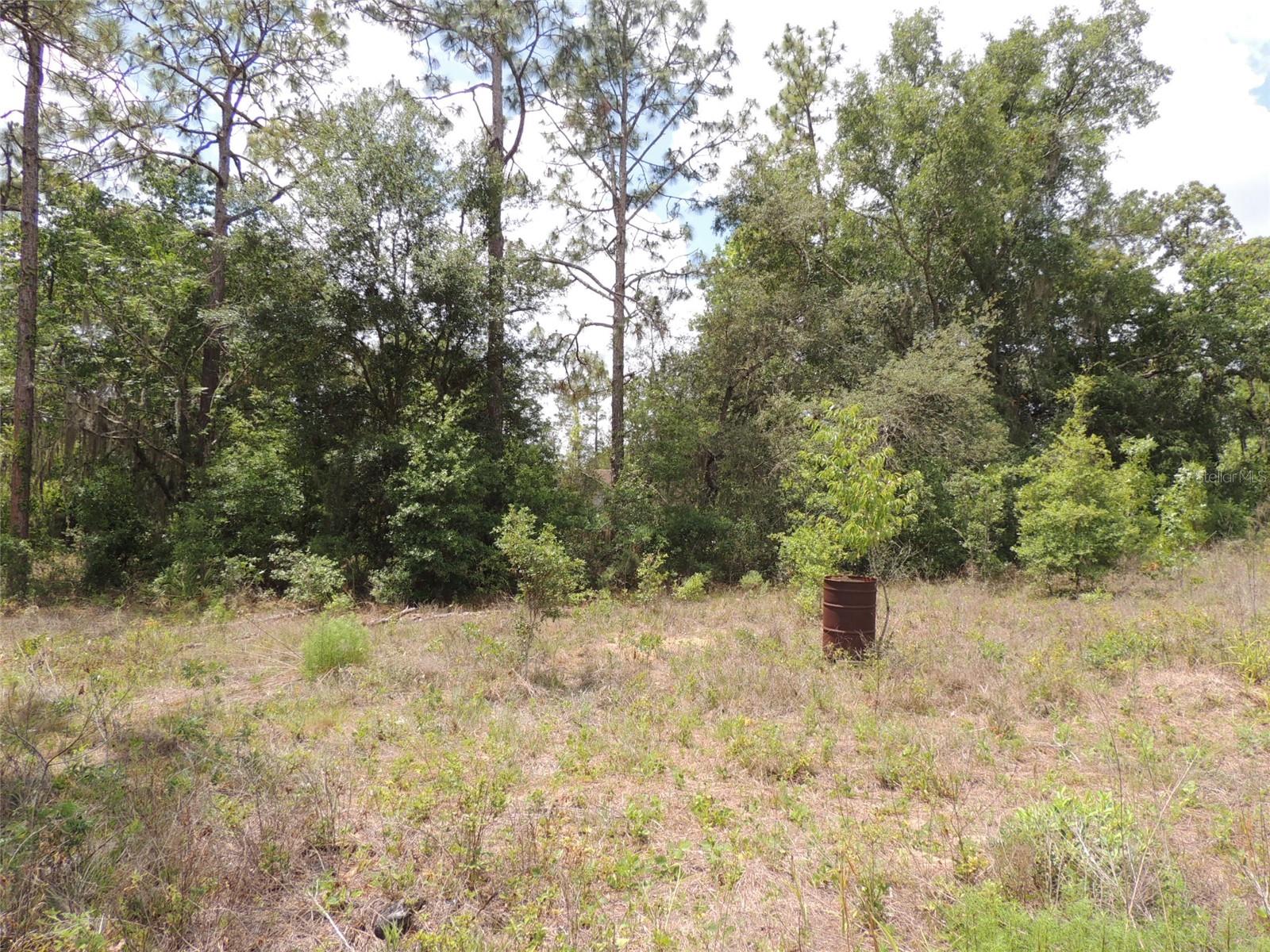 WOODLAND ACRES SUB - Residential