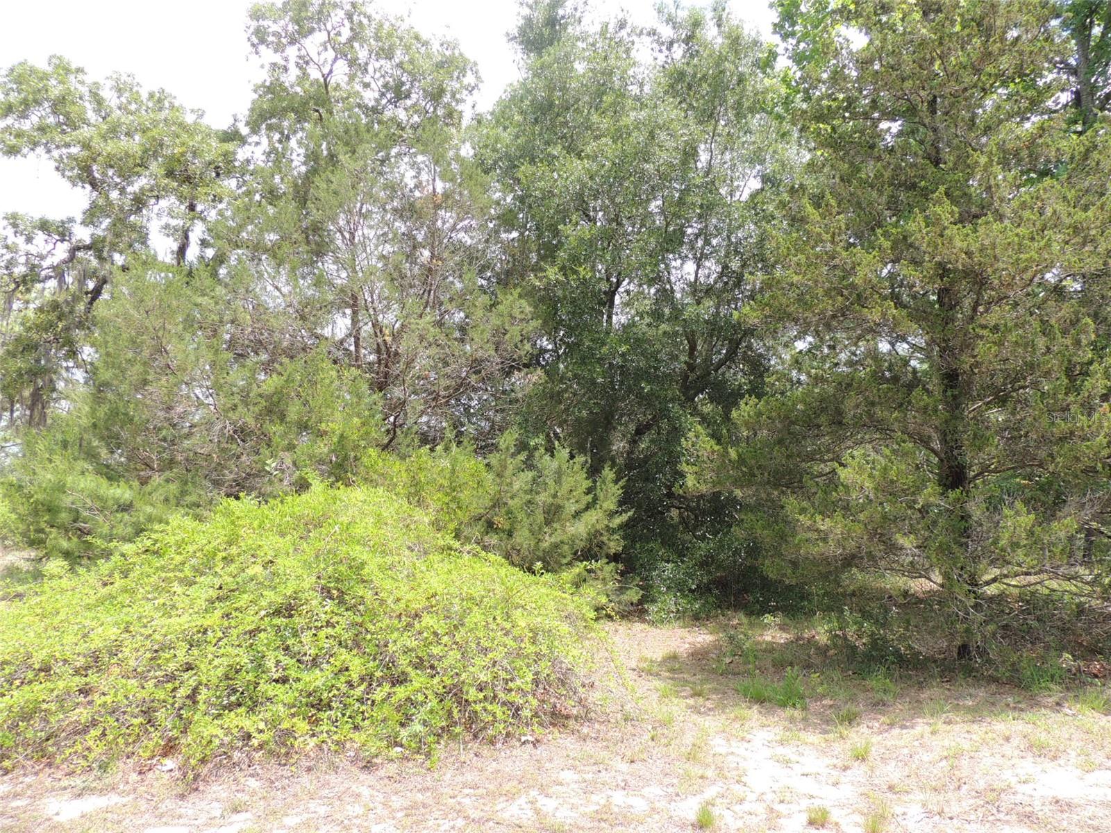 WOODLAND ACRES SUB - Residential