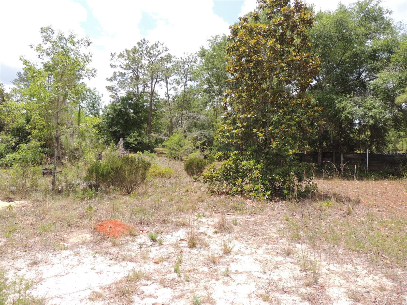 WOODLAND ACRES SUB - Residential