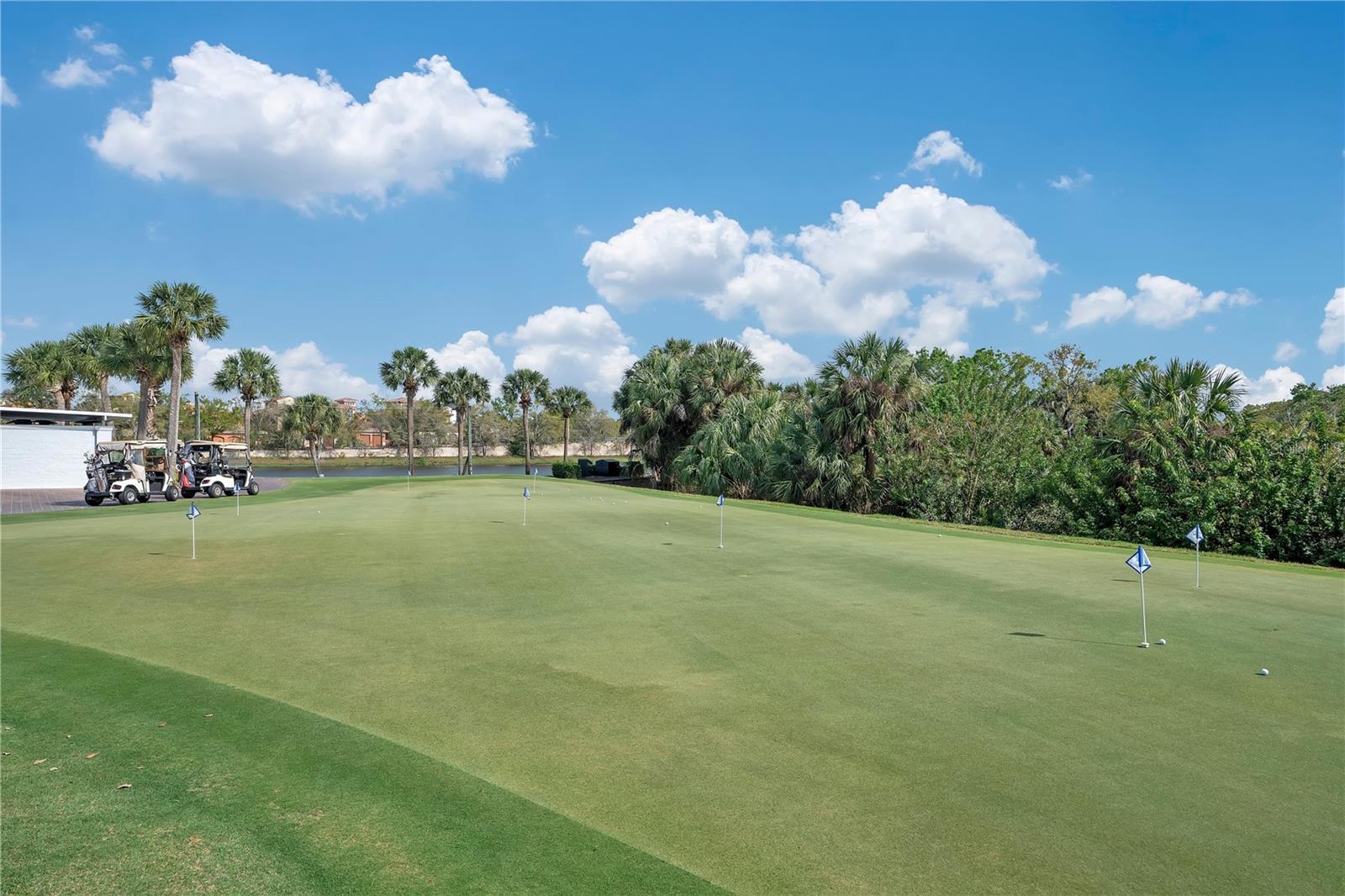 WATERLEFE GOLF AND RIVER CLUB THE WATCH - Residential