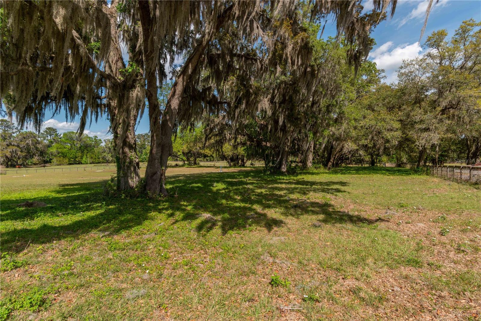 WHIP-POOR-WILL PLANTATION - Land
