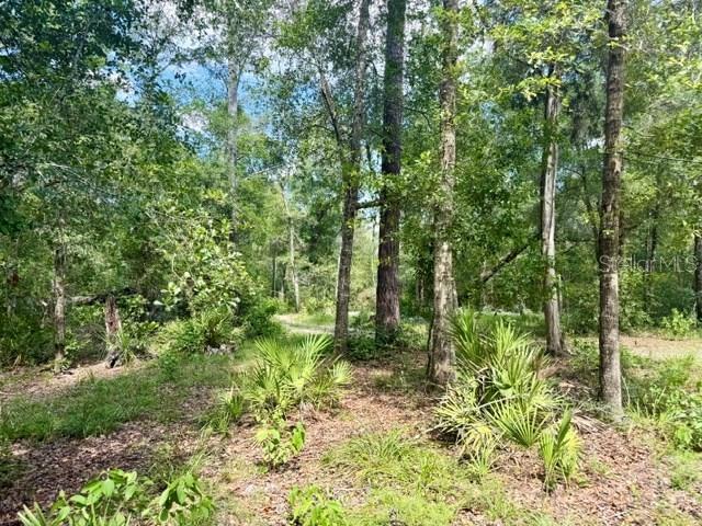 1ST ADD SUWANNEE LANDING SUB - Land