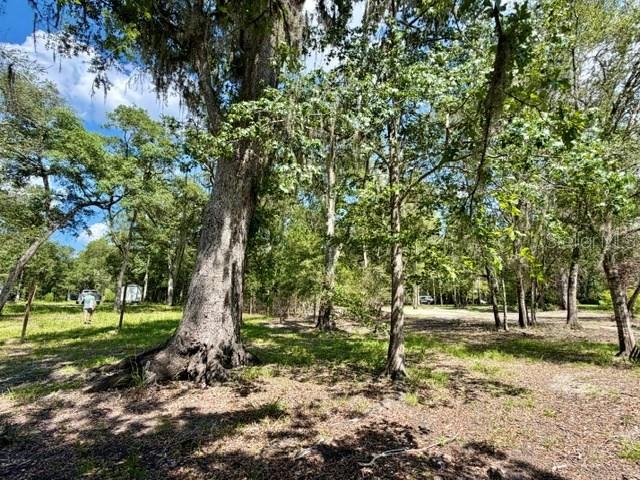 1ST ADD SUWANNEE LANDING SUB - Land