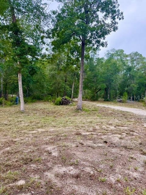 1ST ADD SUWANNEE LANDING SUB - Land