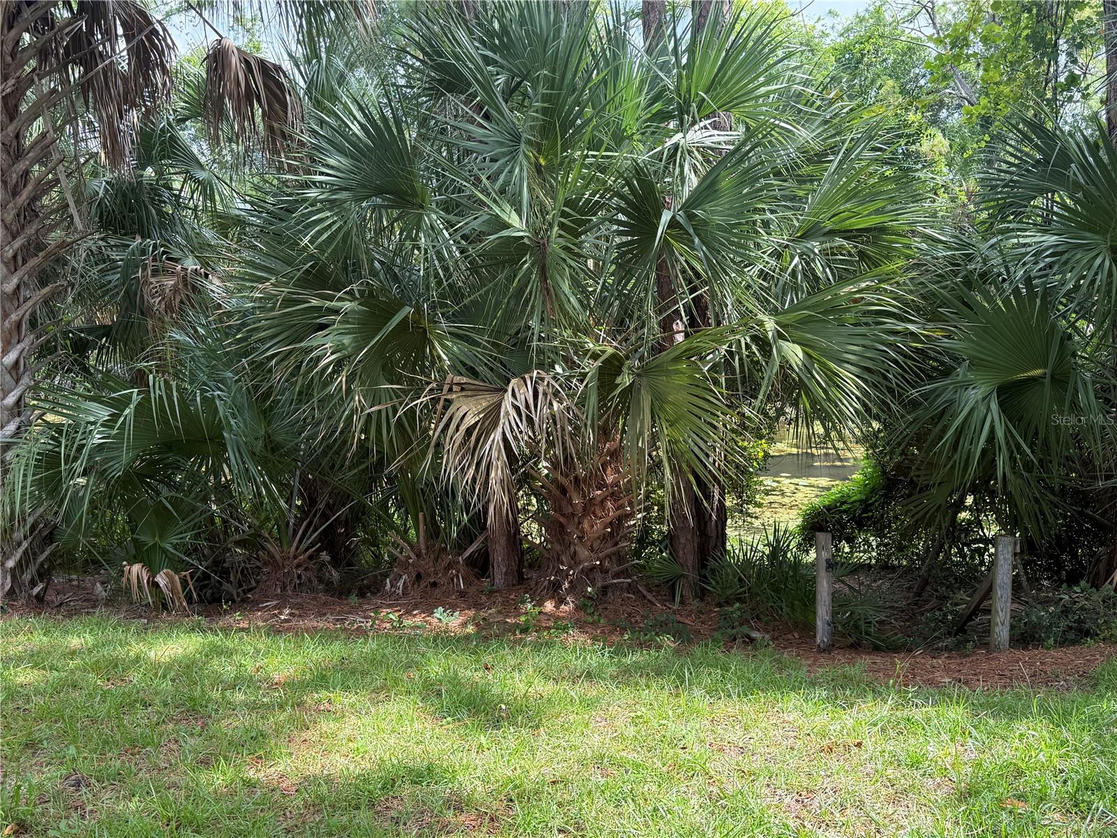 PALM COAST SEC 24 - Residential Lease