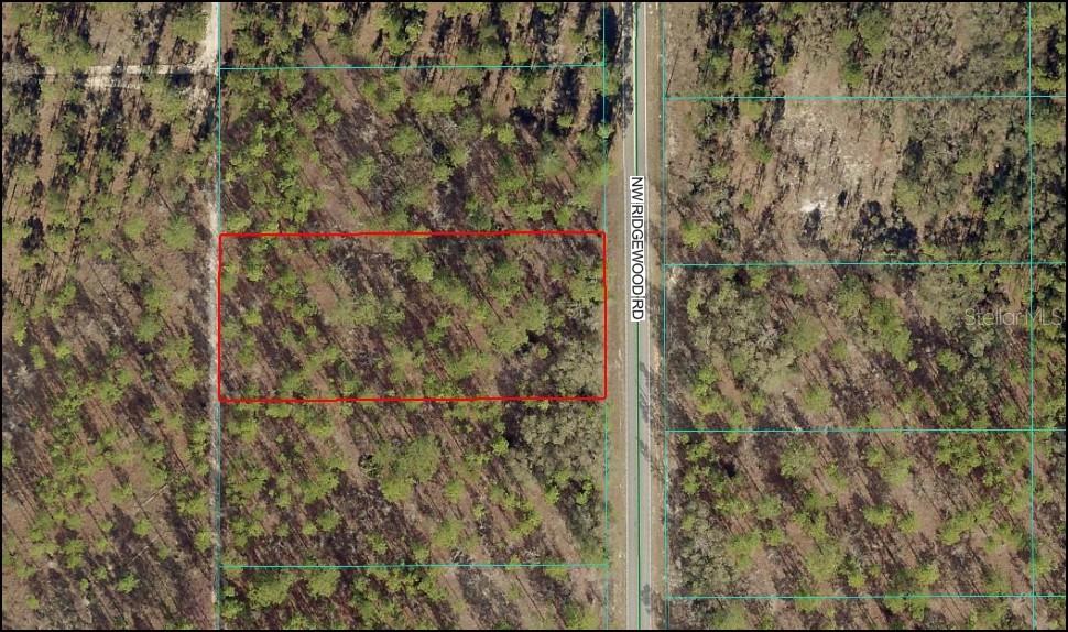Build your dream home on this spacious 1.05-acre lot in a peaceful residential setting. Surrounded by natural beauty and new homes being built throughout the area, this property offers the perfect blend of privacy, growth, and opportunity. With plenty of room for a custom home, pool, and outdoor living spaces, you can design the retreat you’ve always envisioned while staying close to shopping, dining, schools, and major roadways. Located in the desirable Rainbow Lakes Estates community, this fantastic location also puts you just a short drive from the Gulf and the crystal-clear Rainbow River, ideal for swimming, canoeing, hiking, bicycling, and fishing. Residents enjoy access to two neighborhood parks featuring sports courts, walking trails, a pavilion, and two scenic lakes. Whether you’re a builder, investor, or future homeowner, this growing area offers an exceptional opportunity to secure land in a community on the rise.