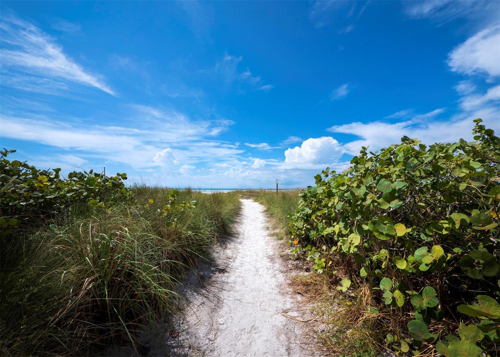 SAINT ARMANDS DIVISION JOHN RINGLING ESTS - Residential