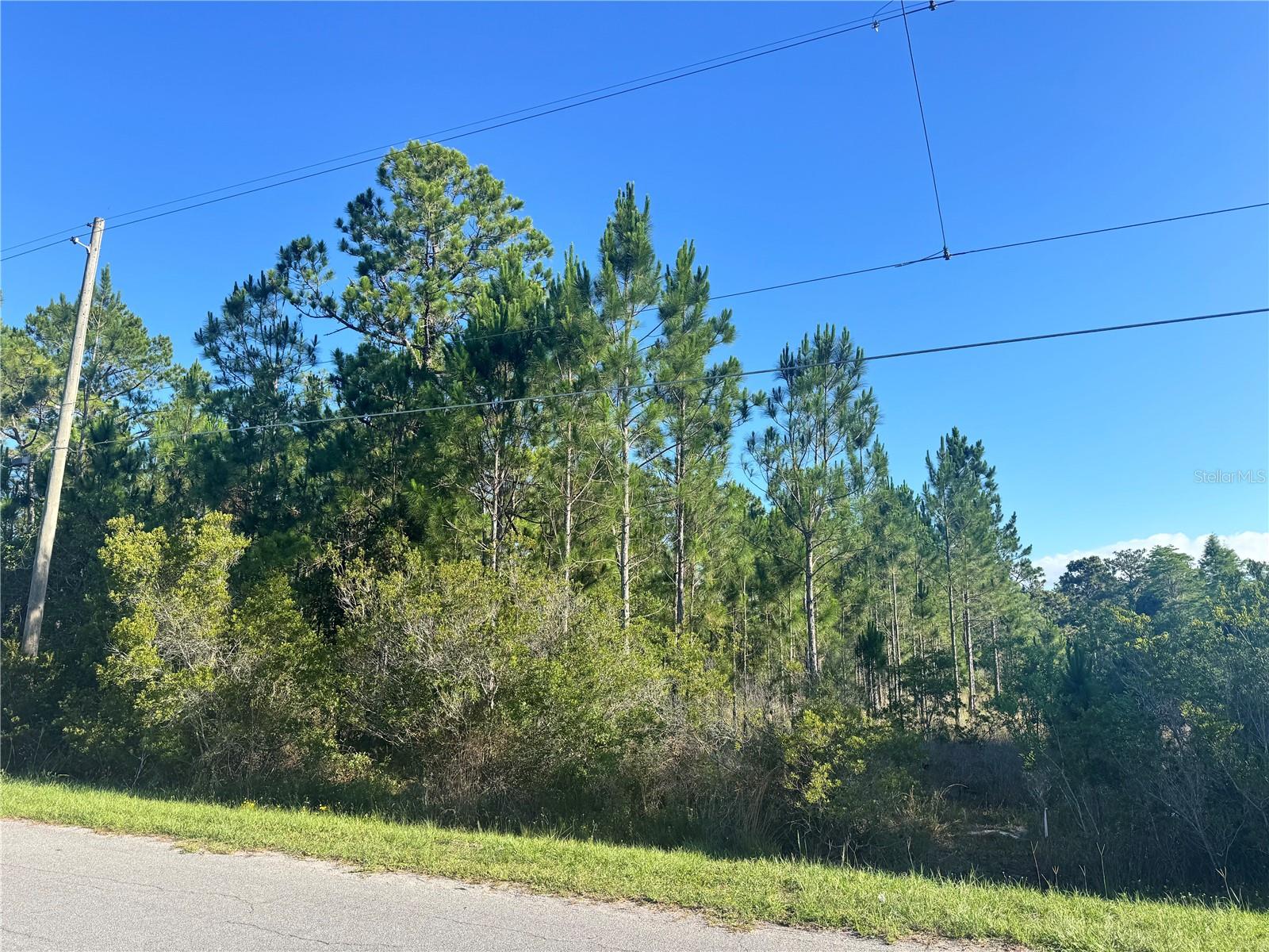 CAPE ORLANDO ESTATES - Land