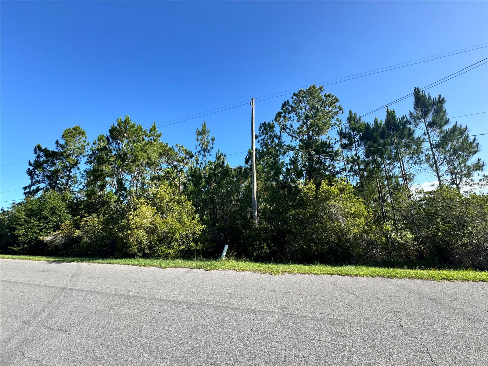 Amazing 1.24 Acre Lot! WD from Orange County already Approved! Survey Complete!! Ready for your Dream Home to be Developed in Complete Privacy and Tranquility on Quinn Street!! So Much Land you Can Build Your House Hidden Away in Your own Private Woods with a Pool, Guest House and Detached Garage! Ready to Embrace the Wedgefield lifestyle? Your chance is here on Quinn Street with an Wonderful 1.24 Acre Homesite. Ralston Street is Lined with Gorgeous, Large Custom Homes!  The Property has a highly desirable 180 Ft of Frontage and 300 Ft of Depth and NO side Canal Setbacks!!. Wedgefield is Golf and Equestrian Community like No Other! A true Hidden Gem in East Orlando also known as Cape Orlando Estates. Large Playground in the Community Park, Multiple Ball Courts, Including Pickleball! Outdoor Exercise Equipment, Dog Park and Many Community Events to Enjoy! This Incredible Location of Wedgefield also is Home to the Hal Scott Regional Preserve and Park a 9,515-acre nature preserve. Hal Scott Preserves boasts miles of unspoiled sanctuary trails for hiking along the scenic shoreline of the Econlockhatchee River, with plenty of wildlife to view!! Trails are available for hiking, horseback riding and bicycling, and fishing is permitted. In Wedgefield the Proximity to 528 Allows for seamless commute to Lake Nona, Medical City or Downtown Orlando via 417, 408 or I-4. The Shores of Port Canaveral and the Gorgeous Beaches are just minutes away. If you are looking to create your Dream Home near World-Class Amenities or seeking a smart Investment Opportunity Come see this Oversized 1.24 Acre Gorgeous Homesite on Quinn Street Today!