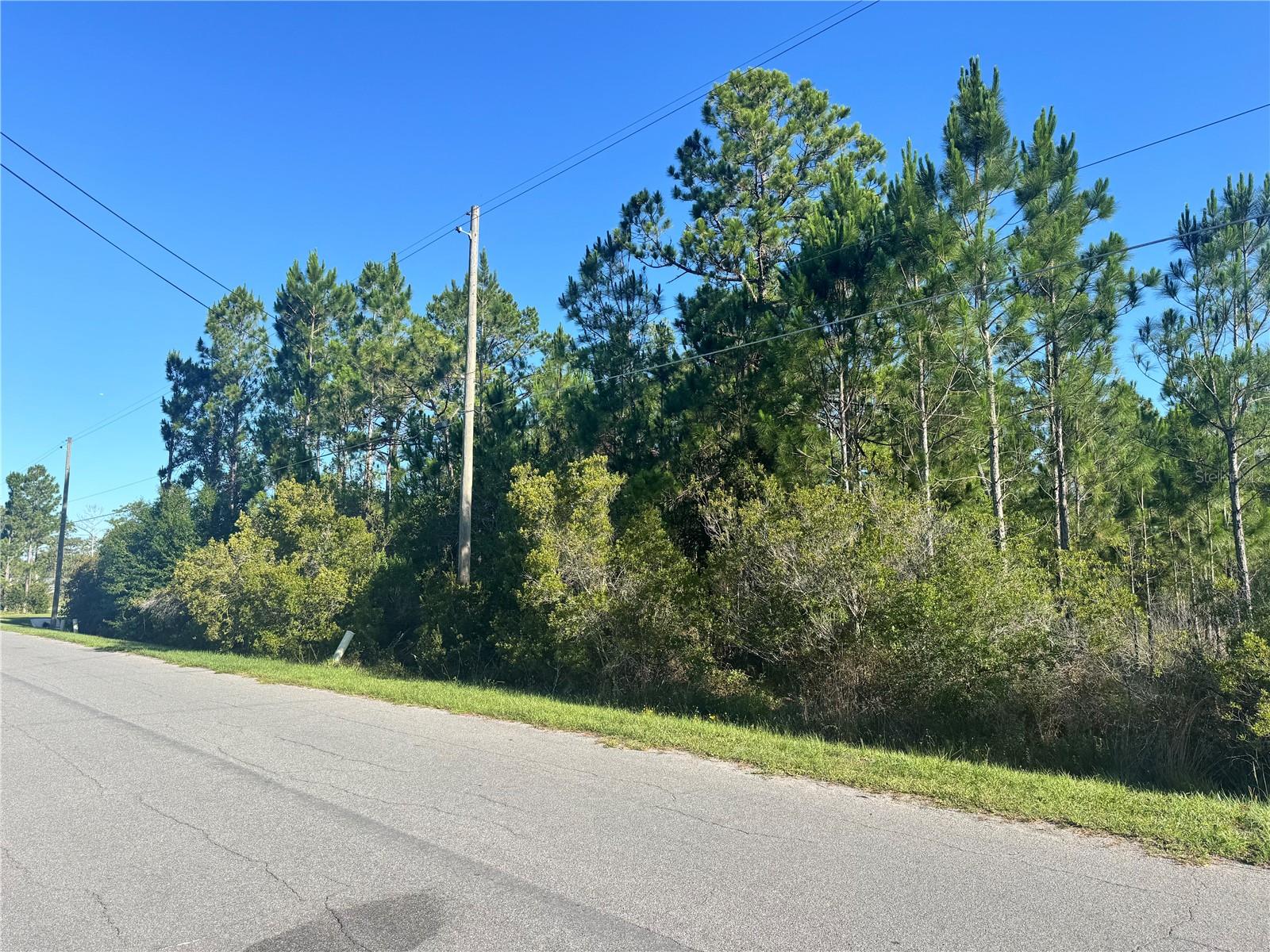 CAPE ORLANDO ESTATES - Land