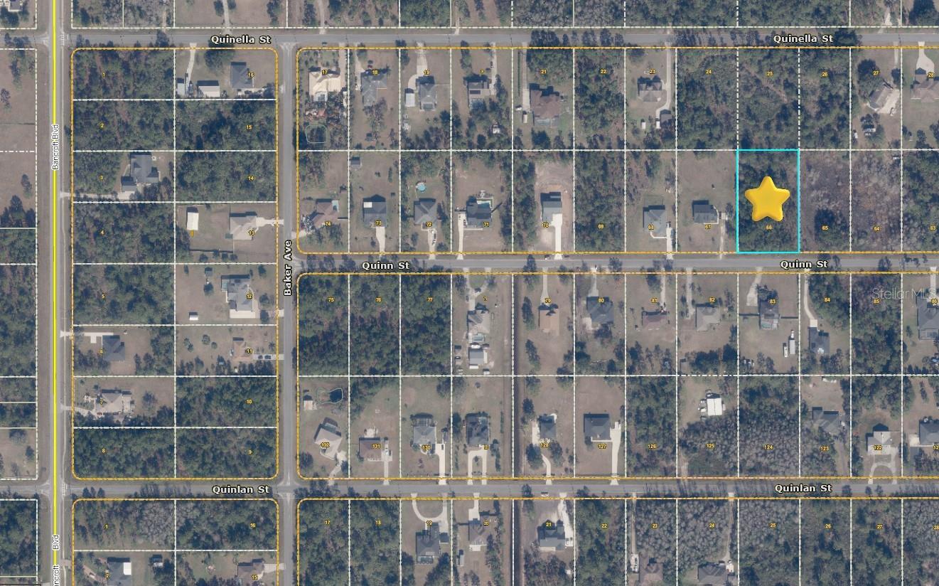 CAPE ORLANDO ESTATES - Land