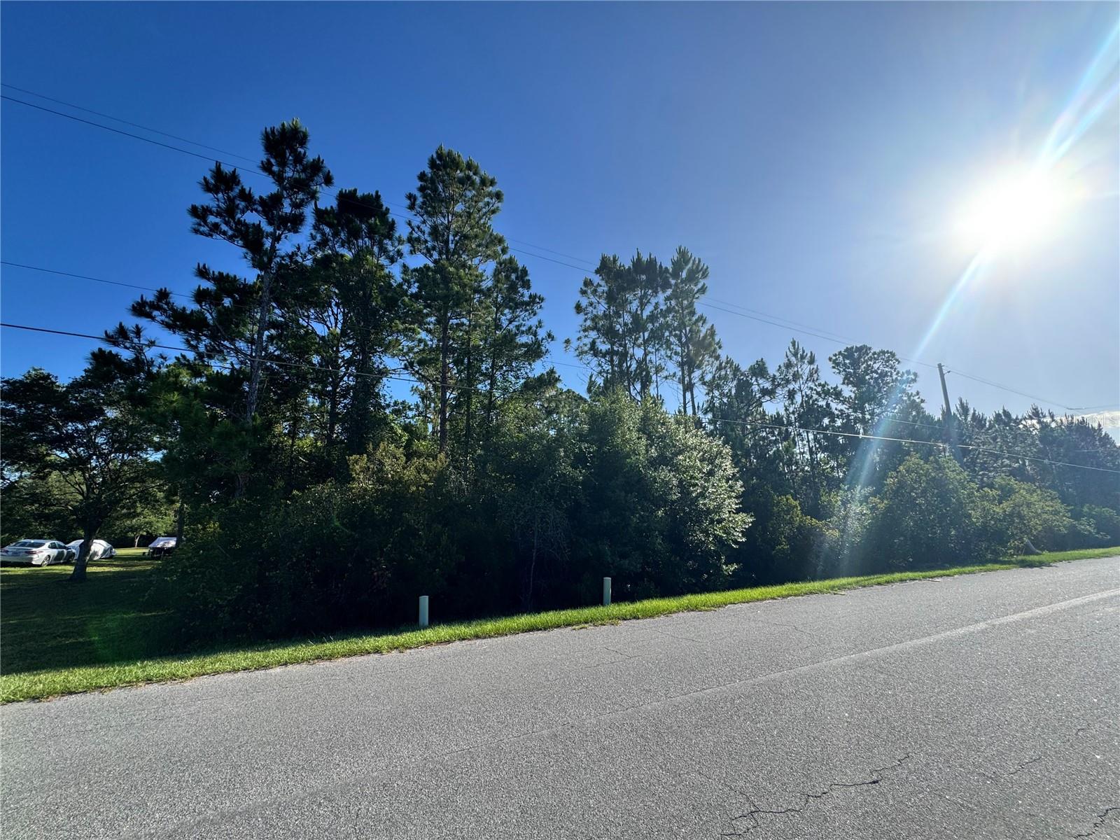 CAPE ORLANDO ESTATES - Land