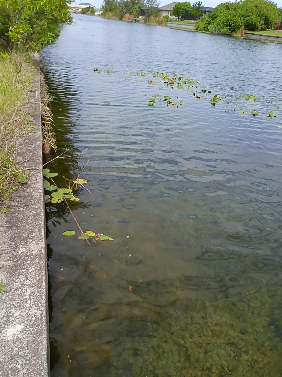 CAPE CORAL - Land