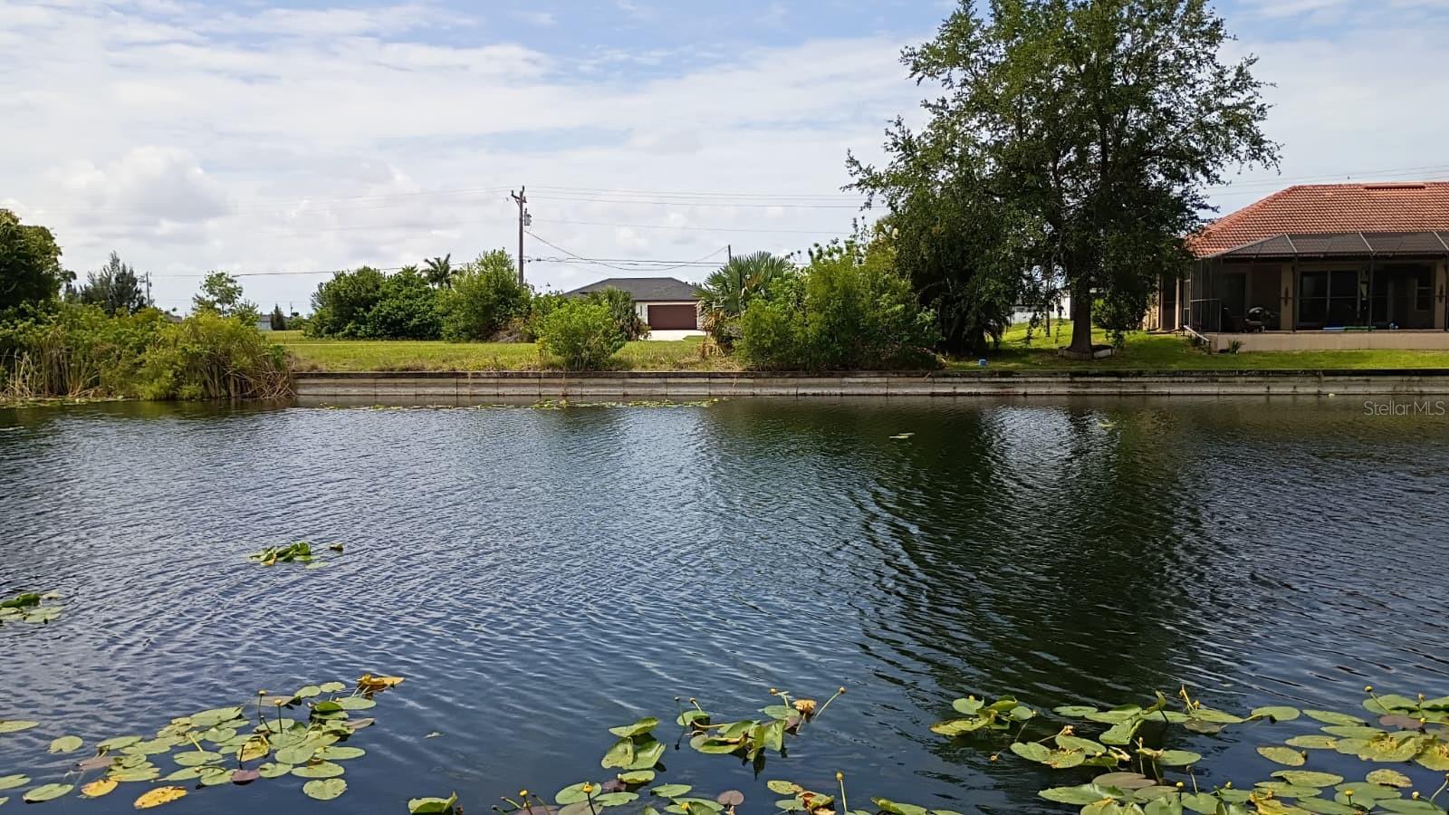 CAPE CORAL - Land