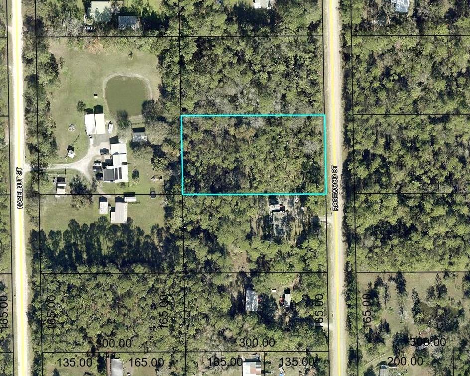 Nice 165x300' lot zoned for manufactured home or site built home.  located close to paved road, farm animals welcome, short drive to  shopping, beach, I-95, hospital and lake. All improvement to be buyers responsibility