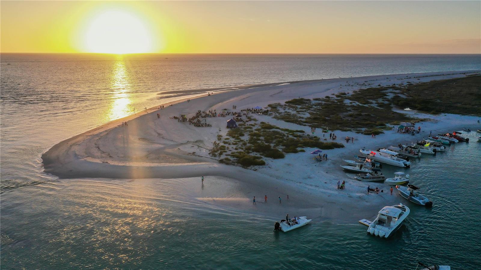 POINT PINES - Residential
