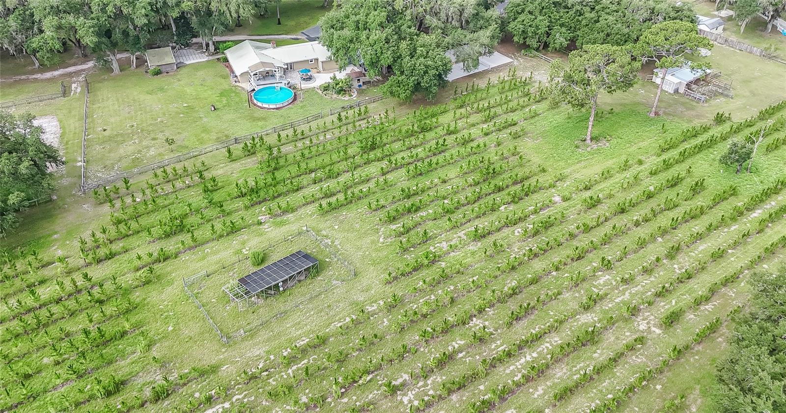 NOT IN SUBDIVISION - Residential