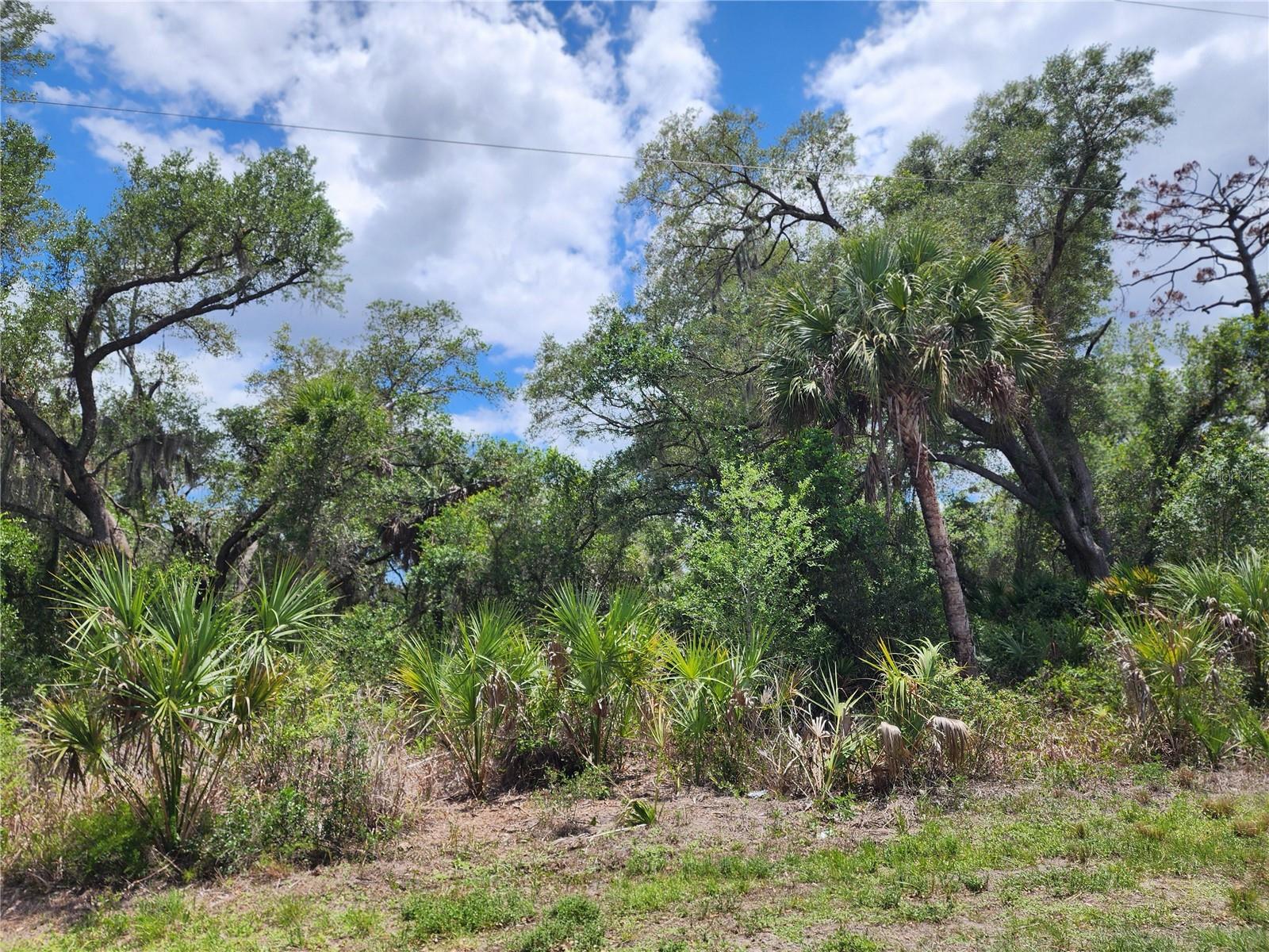 PORT CHARLOTTE SEC 038 - Land