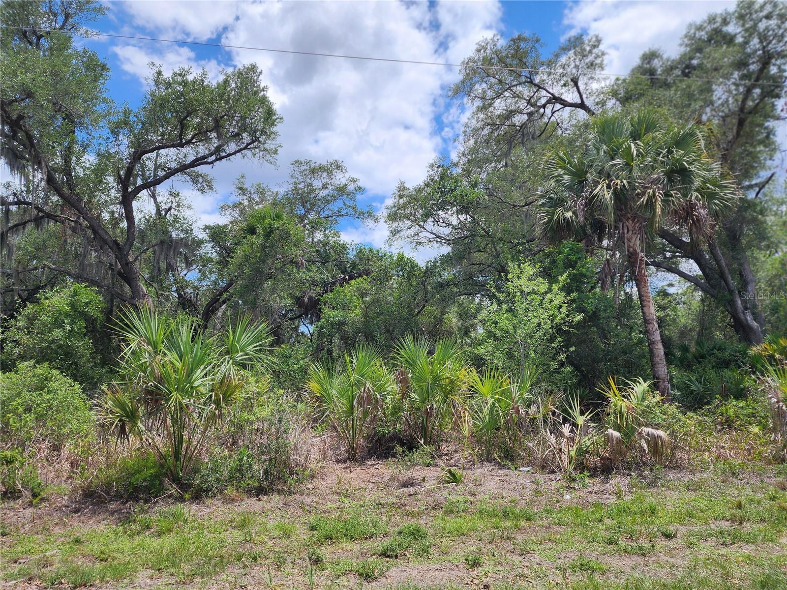 PORT CHARLOTTE SEC 038 - Land
