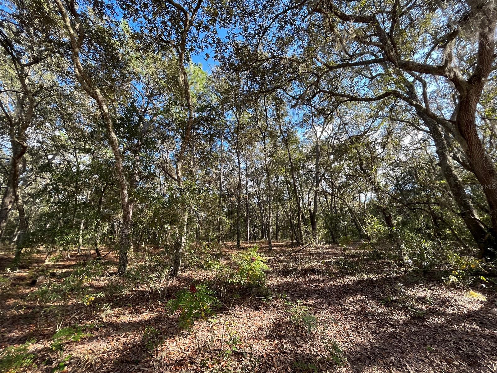 COOPER LAKE HILLS - Land