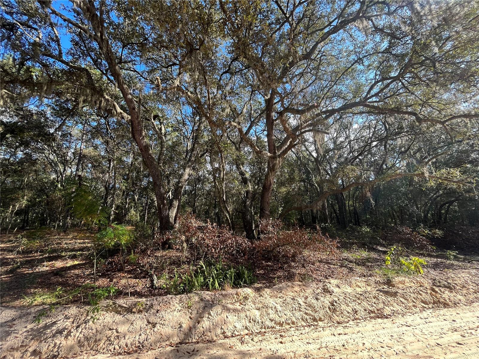 COOPER LAKE HILLS - Land