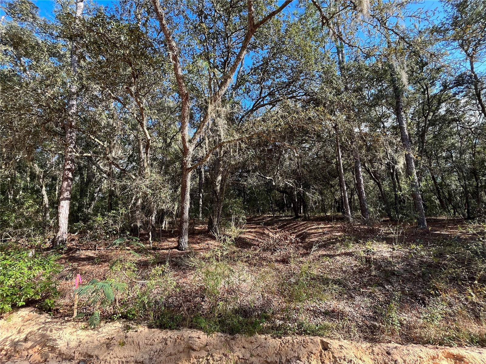 Don't Miss out on this High and dry 1.07 acre lot with nice oaks . Looking to purchase your dream property in Florida, look no further. This lot is listed below market value! Buying Land in Florida is a solid investment for your future, build your dream home, vacation home, rental investment or let the land build value as a great long-term investment to resell for a future profit. Owner Financing Available. Directional purpose lot across the street address 132 S Cooper Lake Dr.