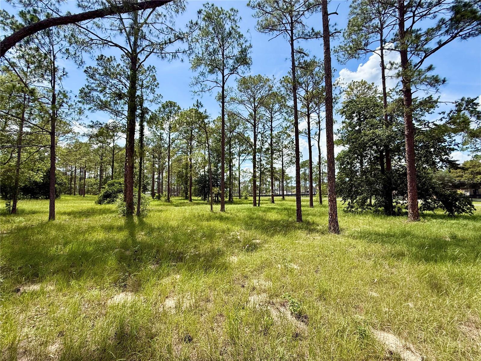 LAKEWOOD RANCHES SUB - Land