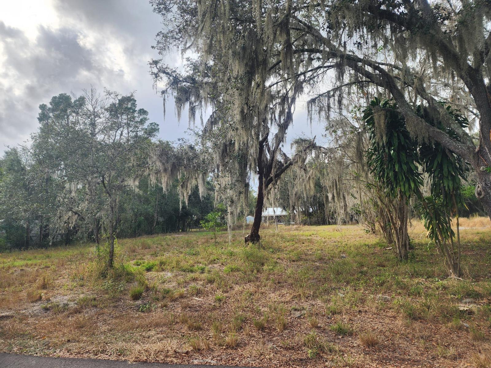 Incredible opportunity in a prime location! This spacious 1-acre lot offers everything you need to build the home of your dreams or to develop an
excellent real estate investment. The land is perfect for building a single-family residence, or for investing by placing up to 2 mobile homes,
taking advantage of its size, accessibility, and strong growth potential. The property already features a power pole, well, and septic tank. It is
strategically located right off the central Martin Luther King Jr. Road, with quick access to I-4, making it easy to reach Tampa, Plant City,
Lakeland, and all the conveniences the area. If you’re looking for space, convenience, connectivity, and a smart investment, this lot has it all.
Don’t miss out on this unique opportunity!