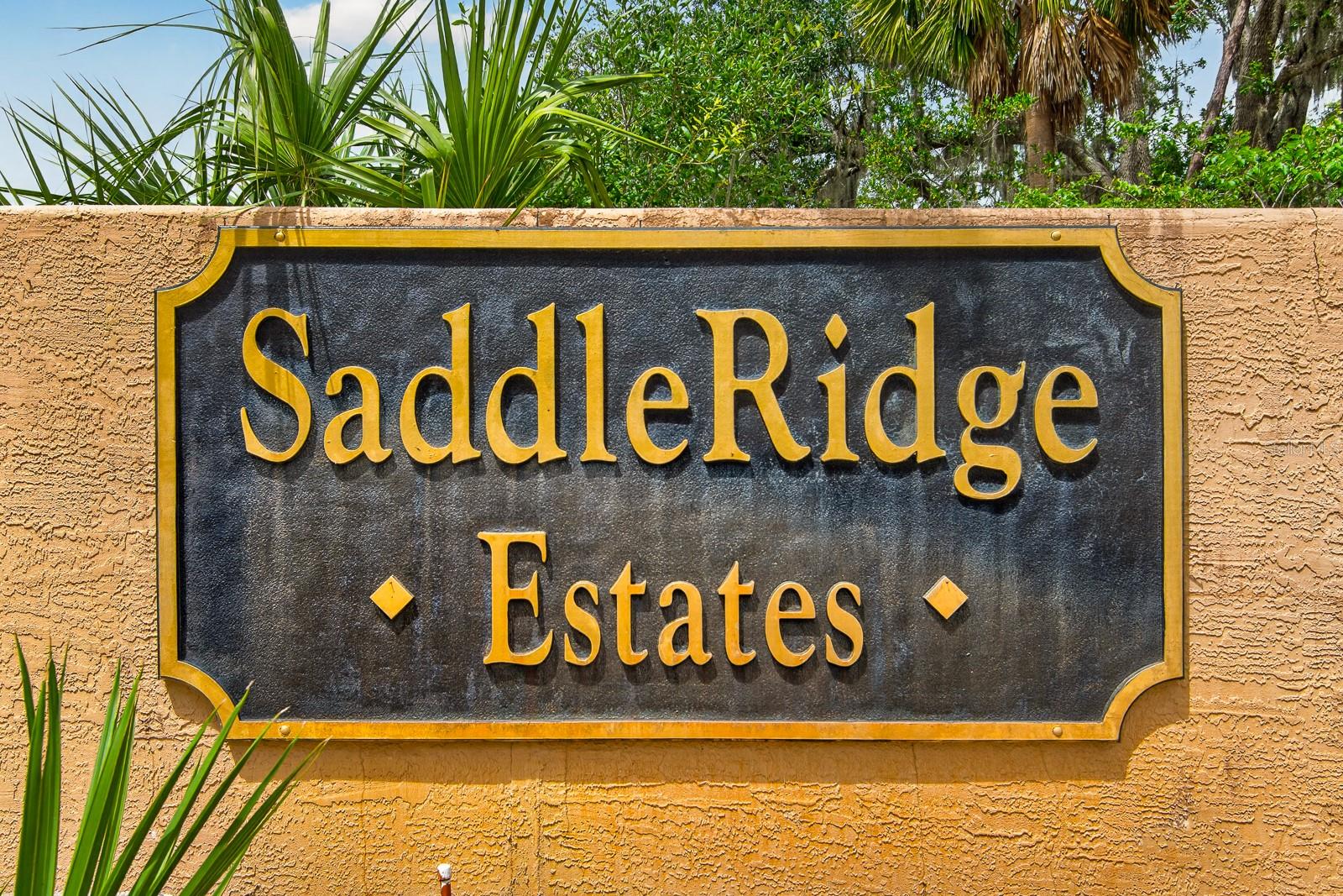 SADDLERIDGE ESTATES - Residential