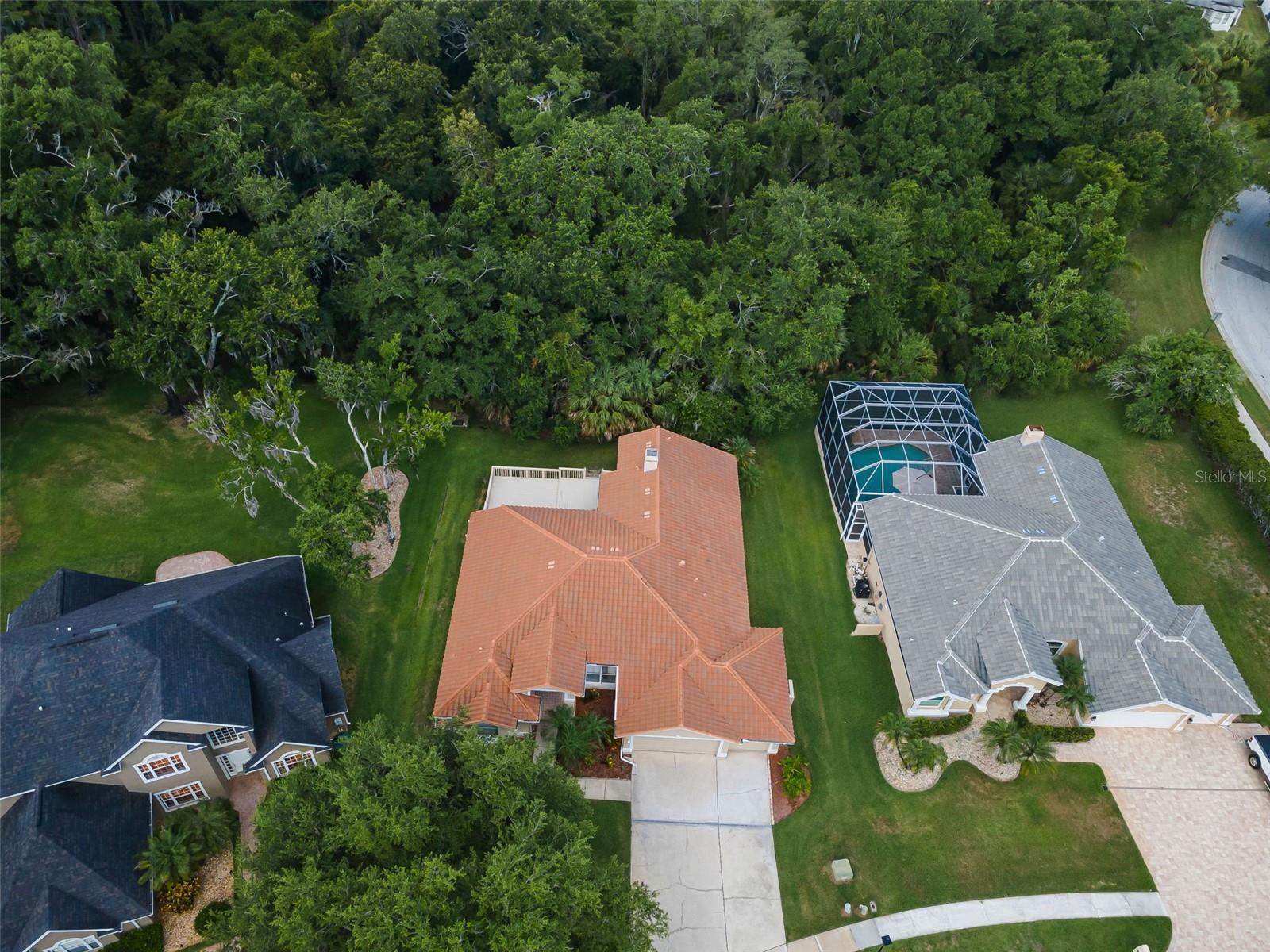 RESERVE AT LAKE TARPON, THE - Residential